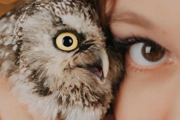 Casino AllStar Slots Tacaíocht